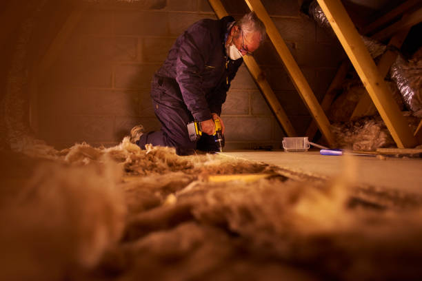 Best Eco-Friendly Insulation in Berwick, PA